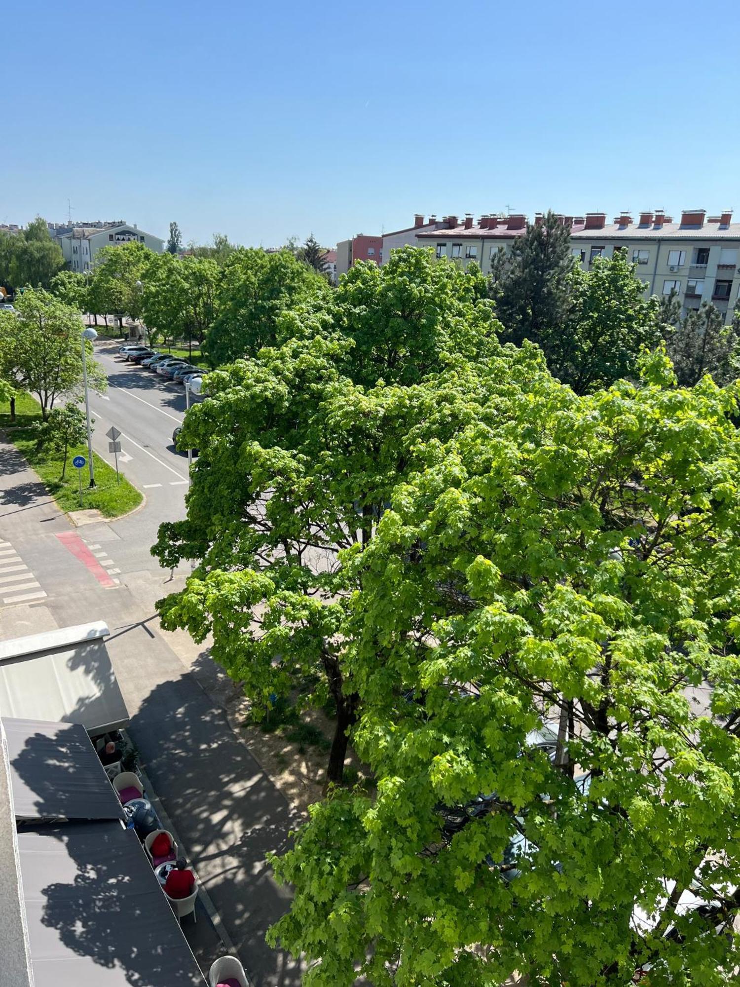 Rita Apartment-Free Parking&Wifi Zagreb Eksteriør billede